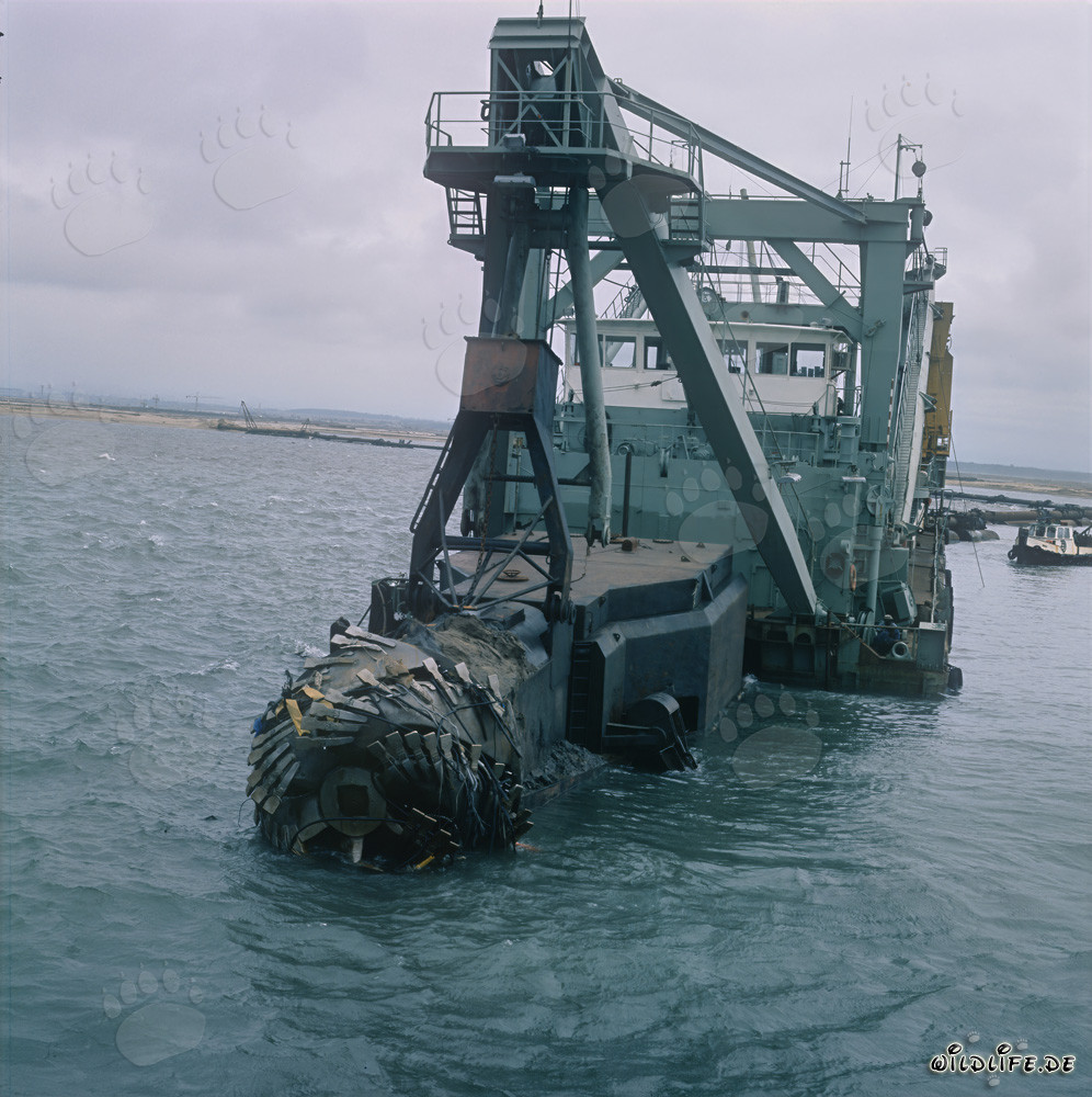 Drague suceuse à tête de coupe lors de travaux de dragage à Richards Bay Harbour