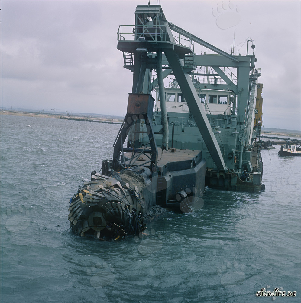 Schneidkopfspuelbagger bei Nassbaggerarbeiten in Richards Bay Hafen