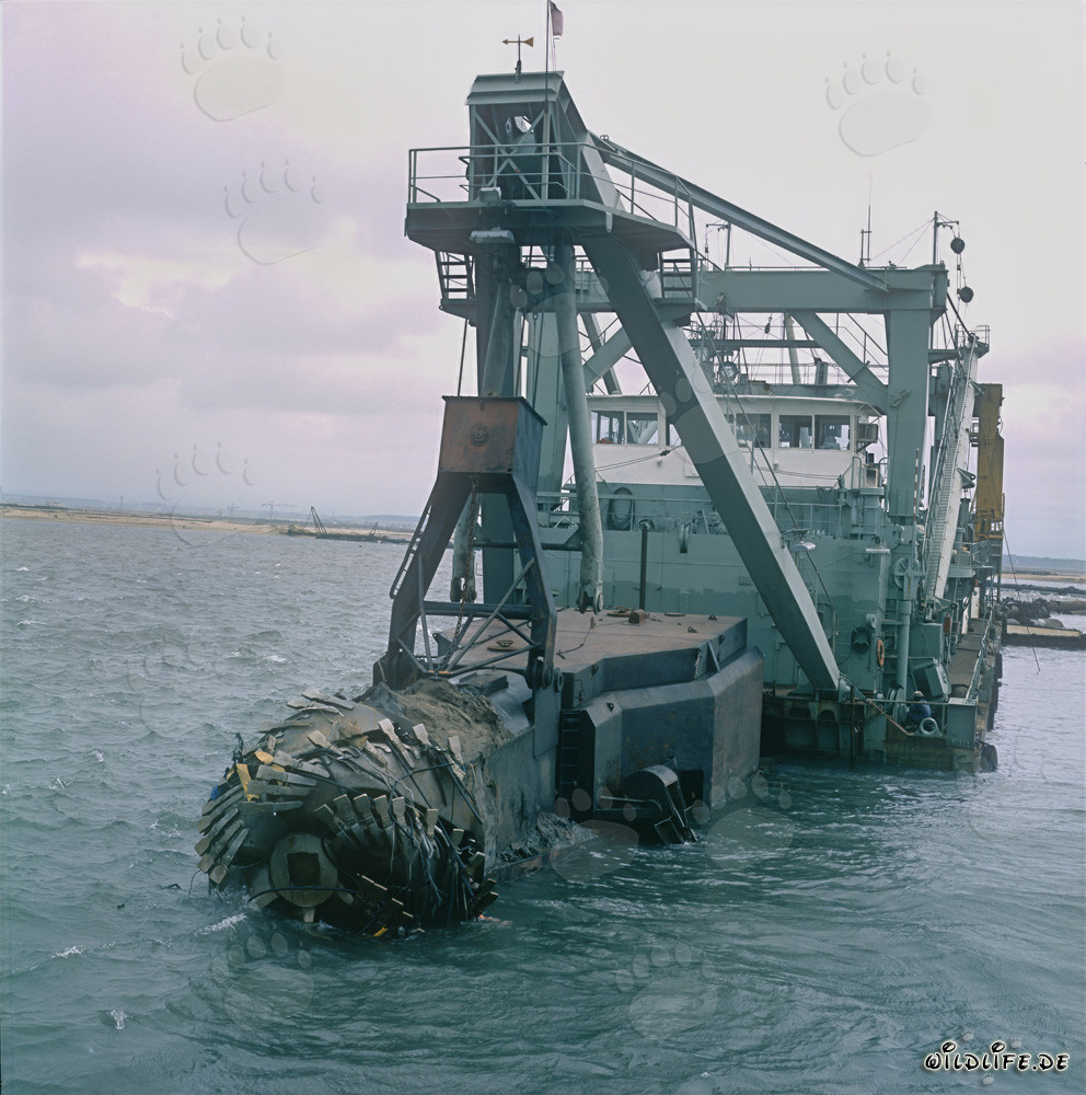 Cutter-suction dredger Tramontane in Richards Bay Harbour