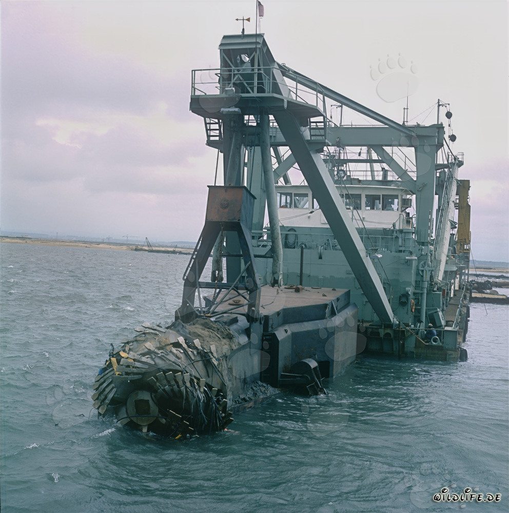 Schneidkopfspülbagger Tramontane im Hafen Richards Bay
