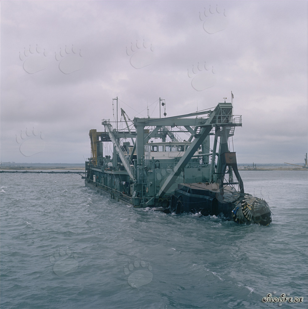 Cutter head - Cutter-suction dredger Tramontane in action at Richards Bay Harbour, South Africa