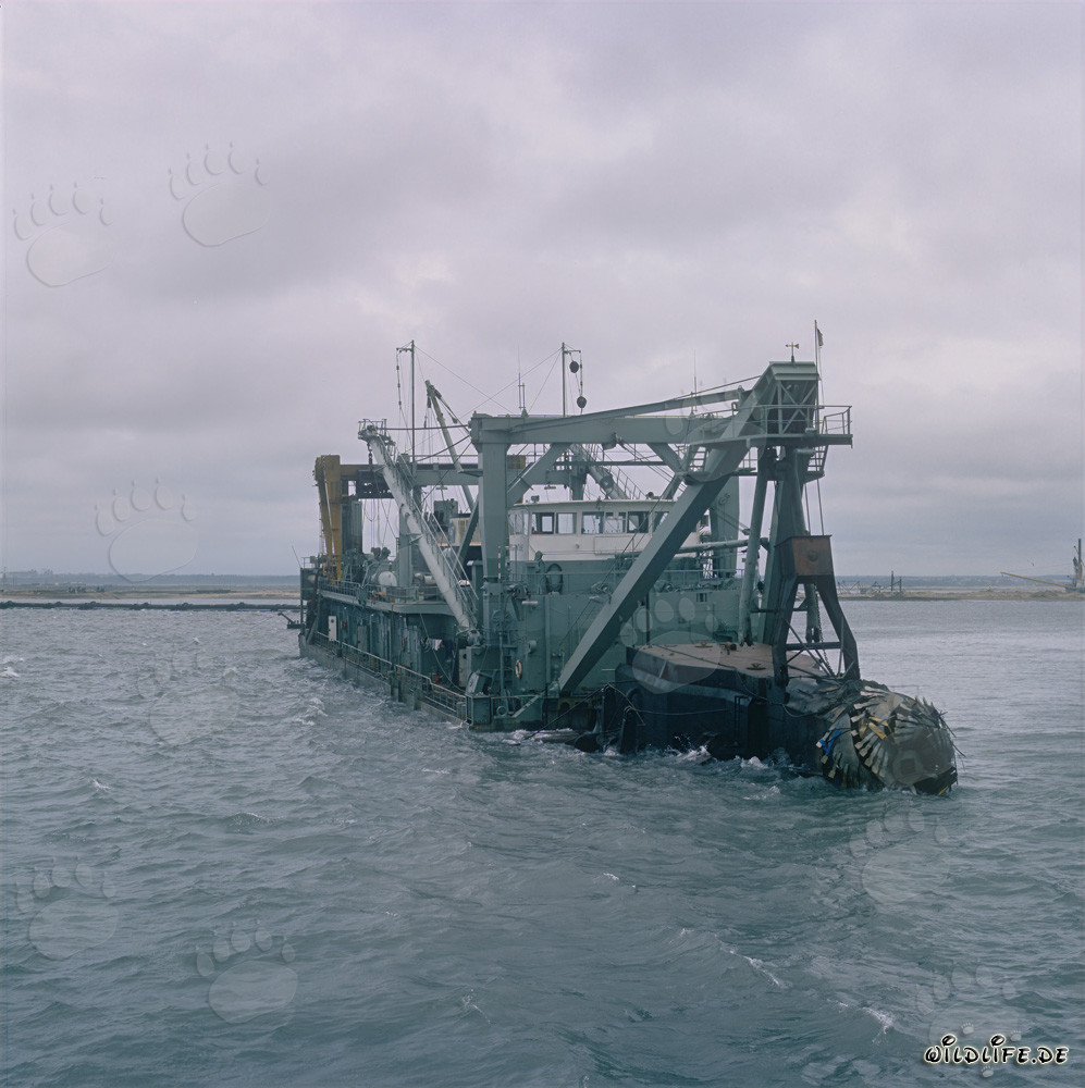 Schneidkopf - Schneidkopfspülbagger Tramontane in Aktion im Hafen von Richards Bay, Südafrika
