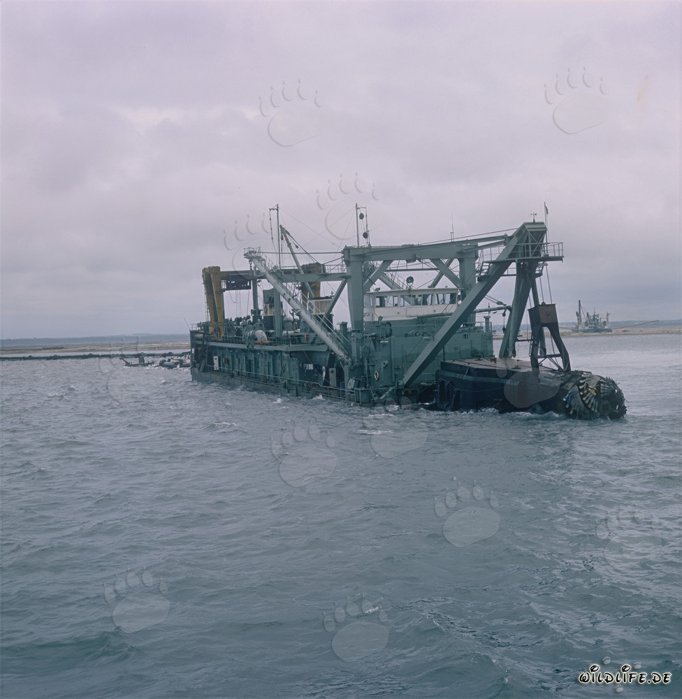 Cutter head of the Cutter-suction dredger Tramontane in action
