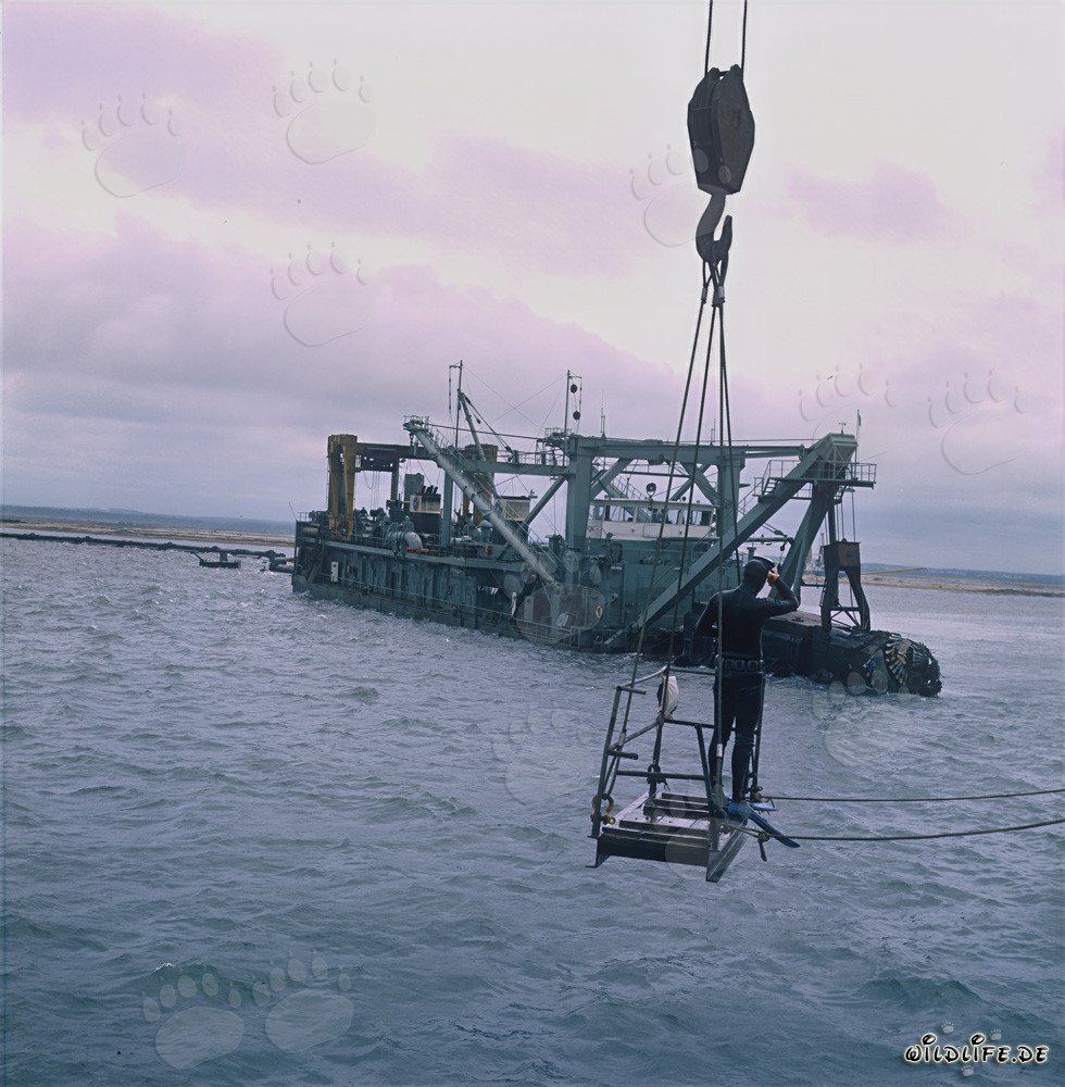 Divers use on Cutter-suction dredger Tramontane in Richards Bay Harbour