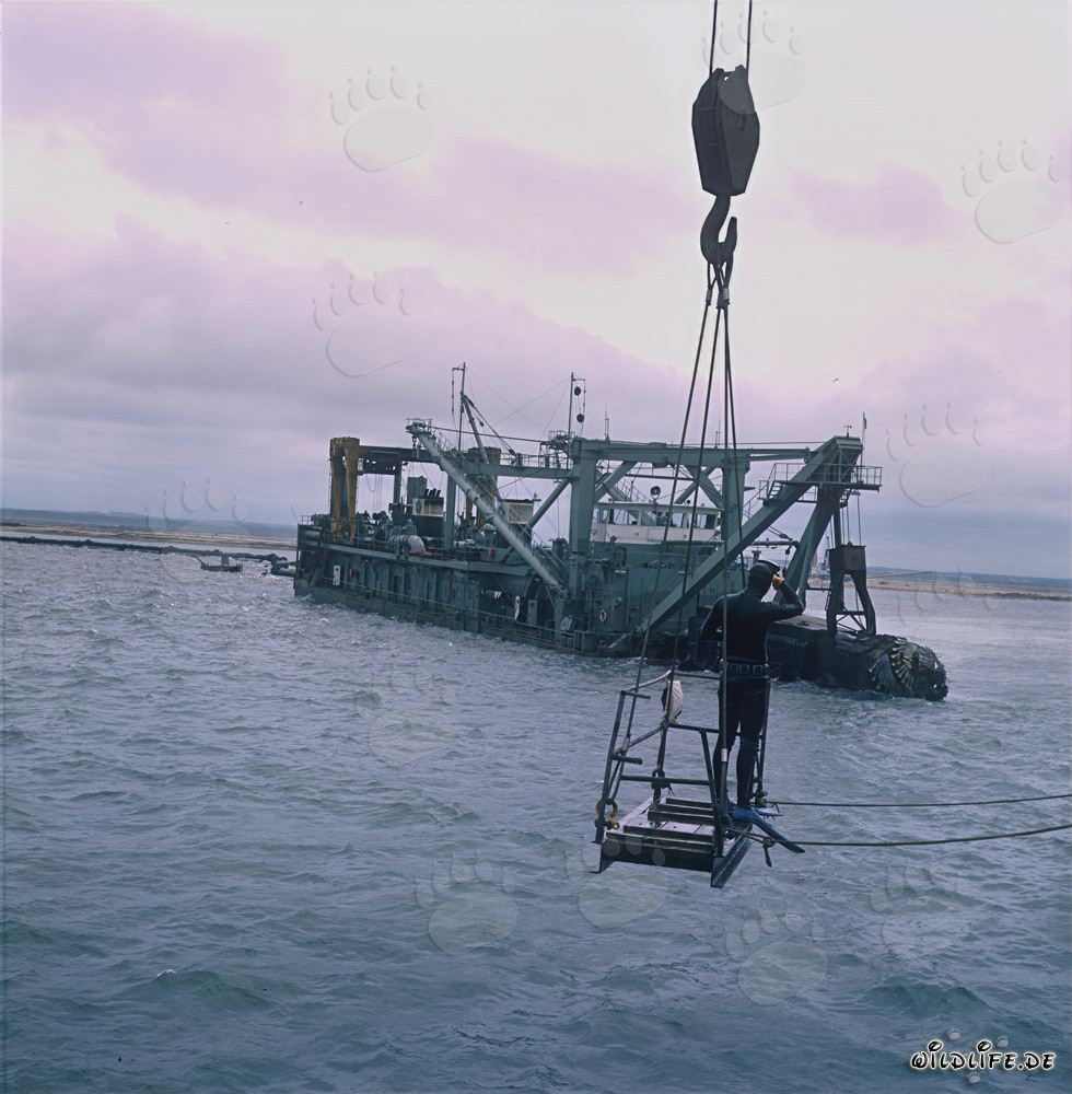 Mission de plongée sur la drague suceuse de fond Tramontane au port de Richards Bay