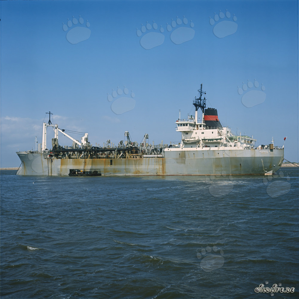 Trailing Suction Hopper Dredger GEOPOTES X at the Port Construction in Ras el Tin, Alexandria