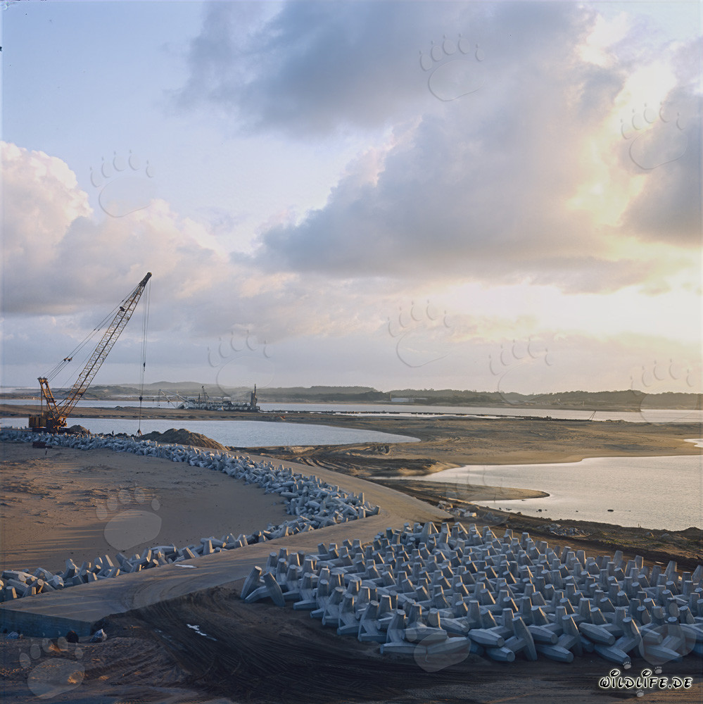 Herstellung und Lagerung von Dolossen am North Headland Hafen