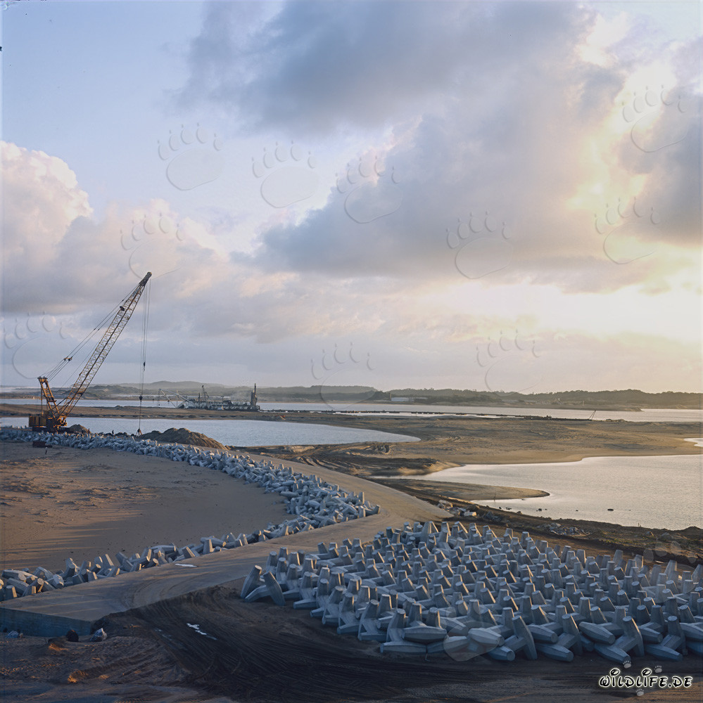 Manufacturing and Storage of Dolosse at North Headland Harbour
