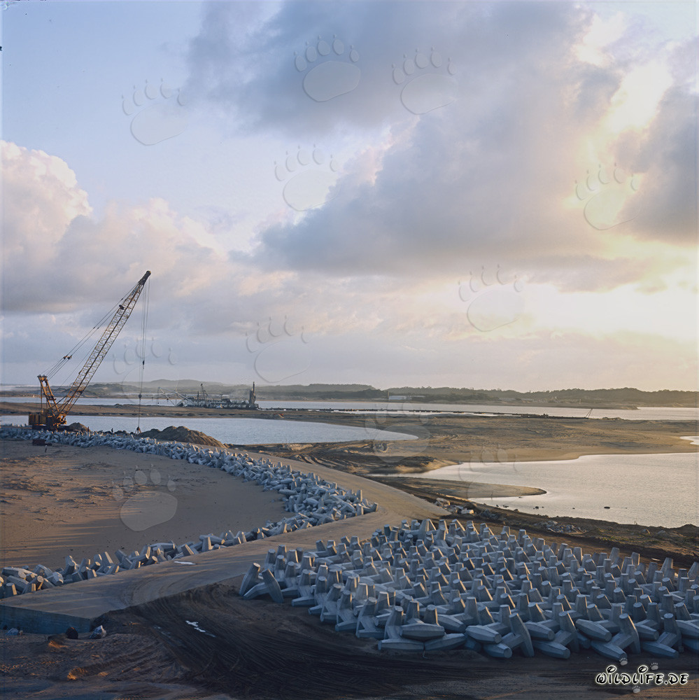Fabricación y almacenamiento de dolosses en el puerto de North Headland