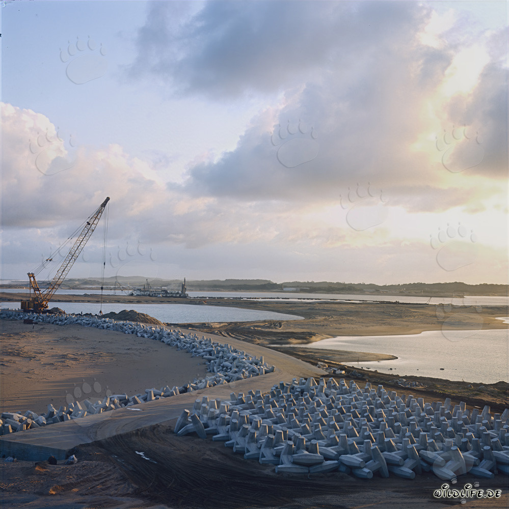 Fabrication et stockage de dolosses au port de North Headland
