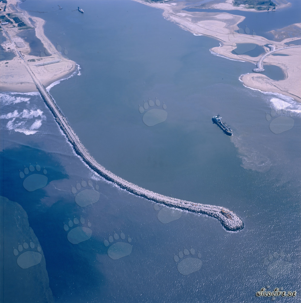 Imponente frangiflutti meridionale a Richards Bay, Sudafrica
