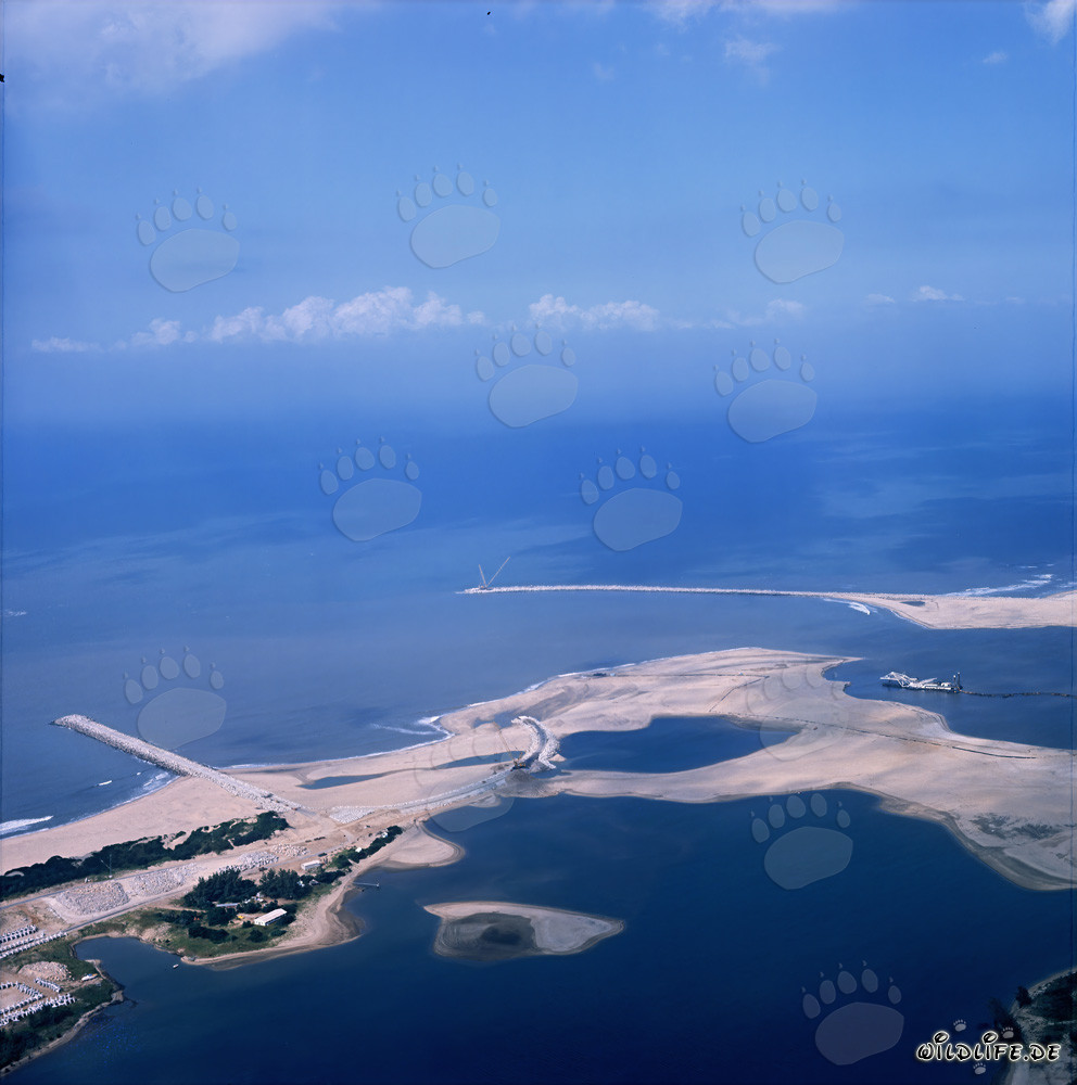 Frangiflutti a Richards Bay, Natal, Sudafrica