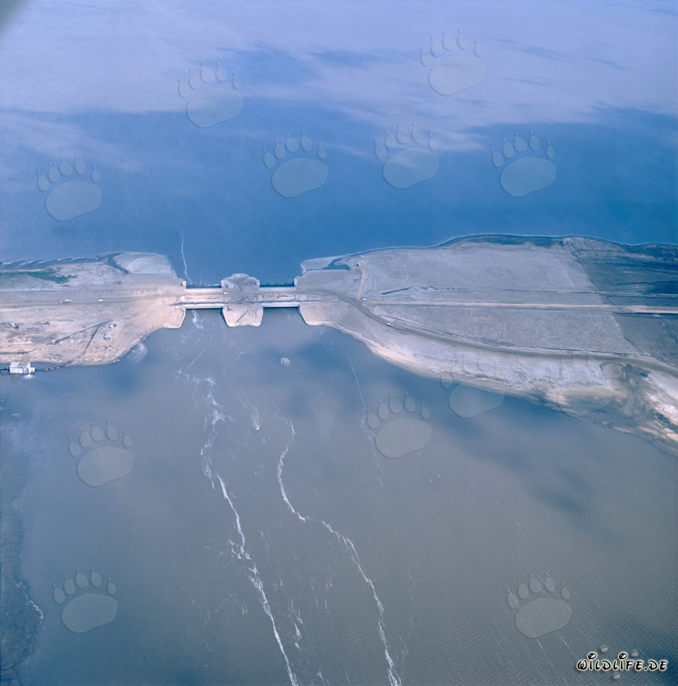 Lavori di costruzione sulle opere di regolazione nel pittoresco argine di separazione