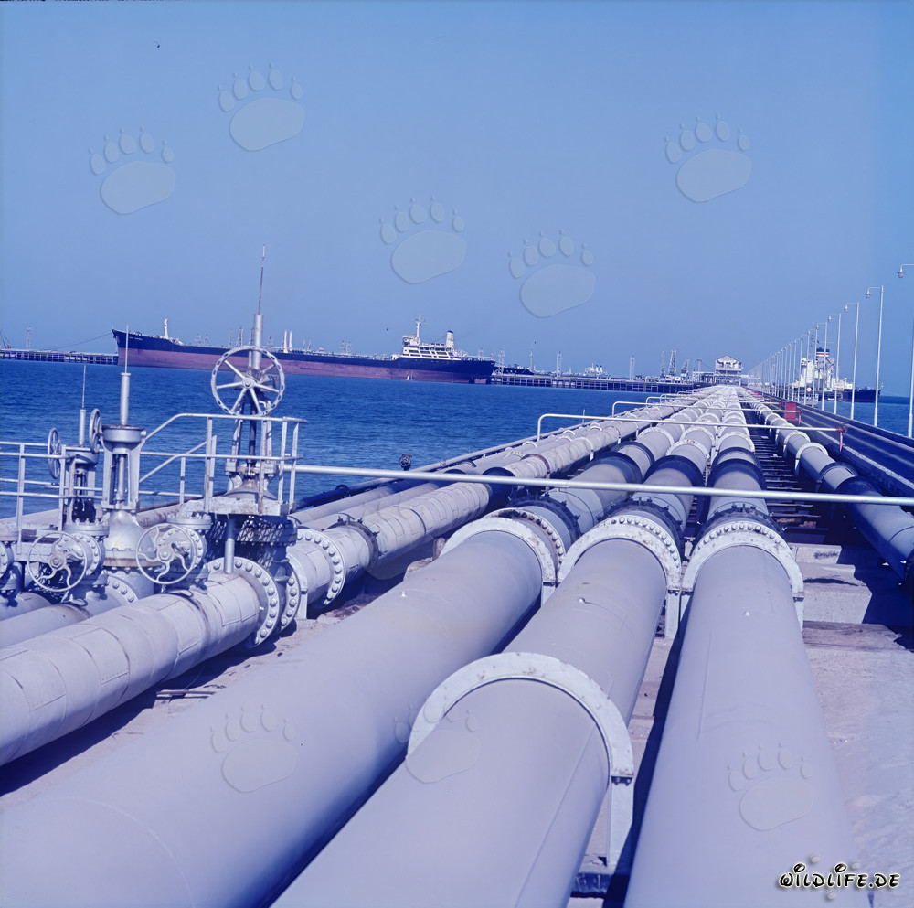 Tuberías de petróleo en Achmedi - Ruta de transporte del oro negro