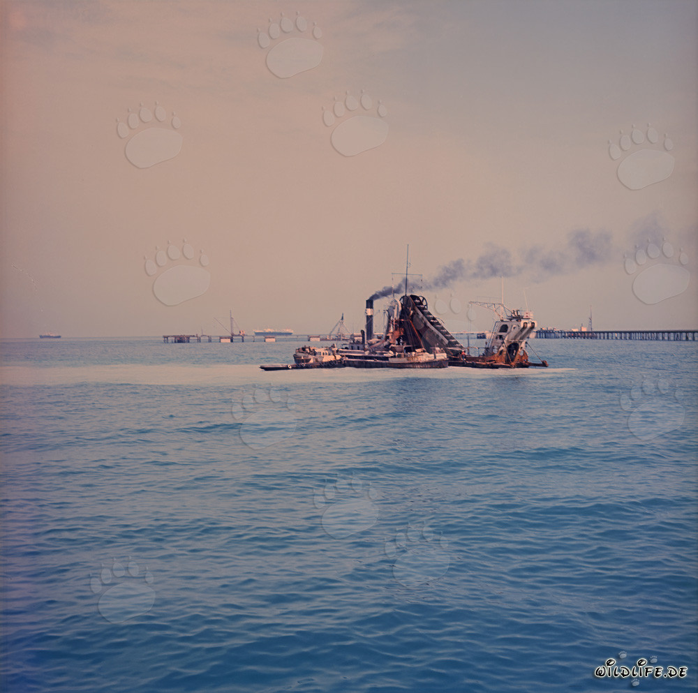 Powerful Bucket Dredger Triton at Work in Shueiba Harbour, Kuwait