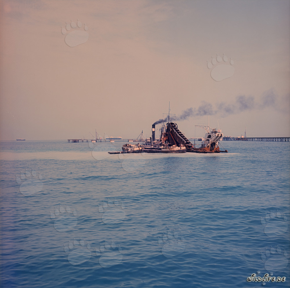 Mächtiger Eimerkettenbagger Triton beim Arbeiten in Shueiba Harbour, Kuwait