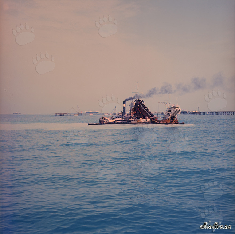 Potente excavadora de cadena de cubos Triton trabajando en el puerto de Shueiba, Kuwait