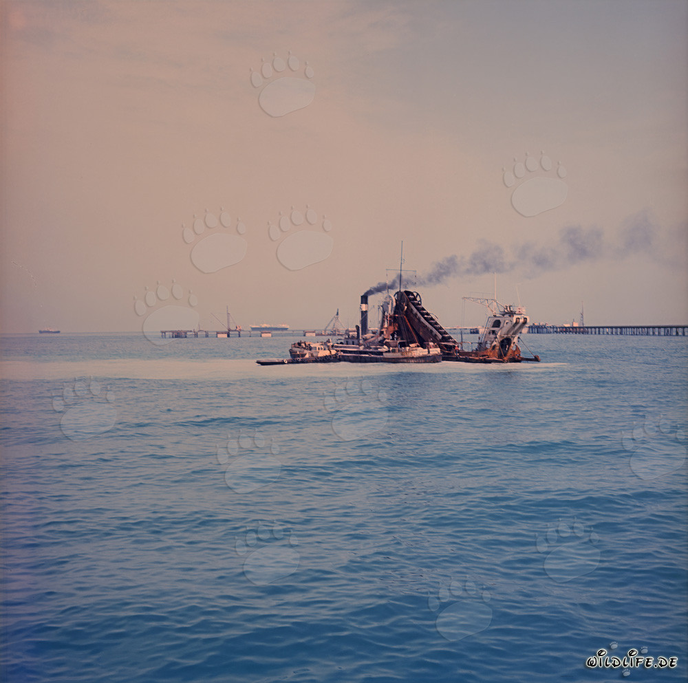 Puissant godet de dragline Triton en action dans le port de Shueiba, Koweït