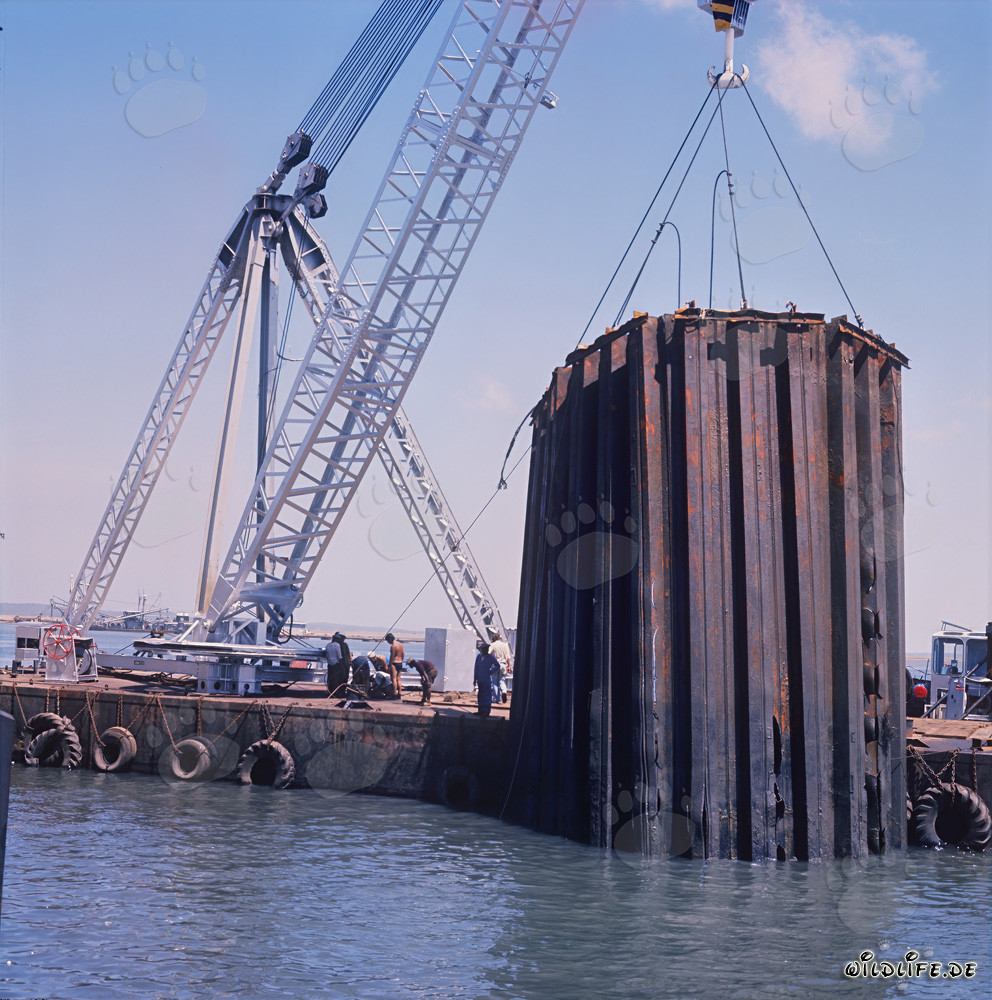 Recovery of an Underwater Cut-off Sheet Piling