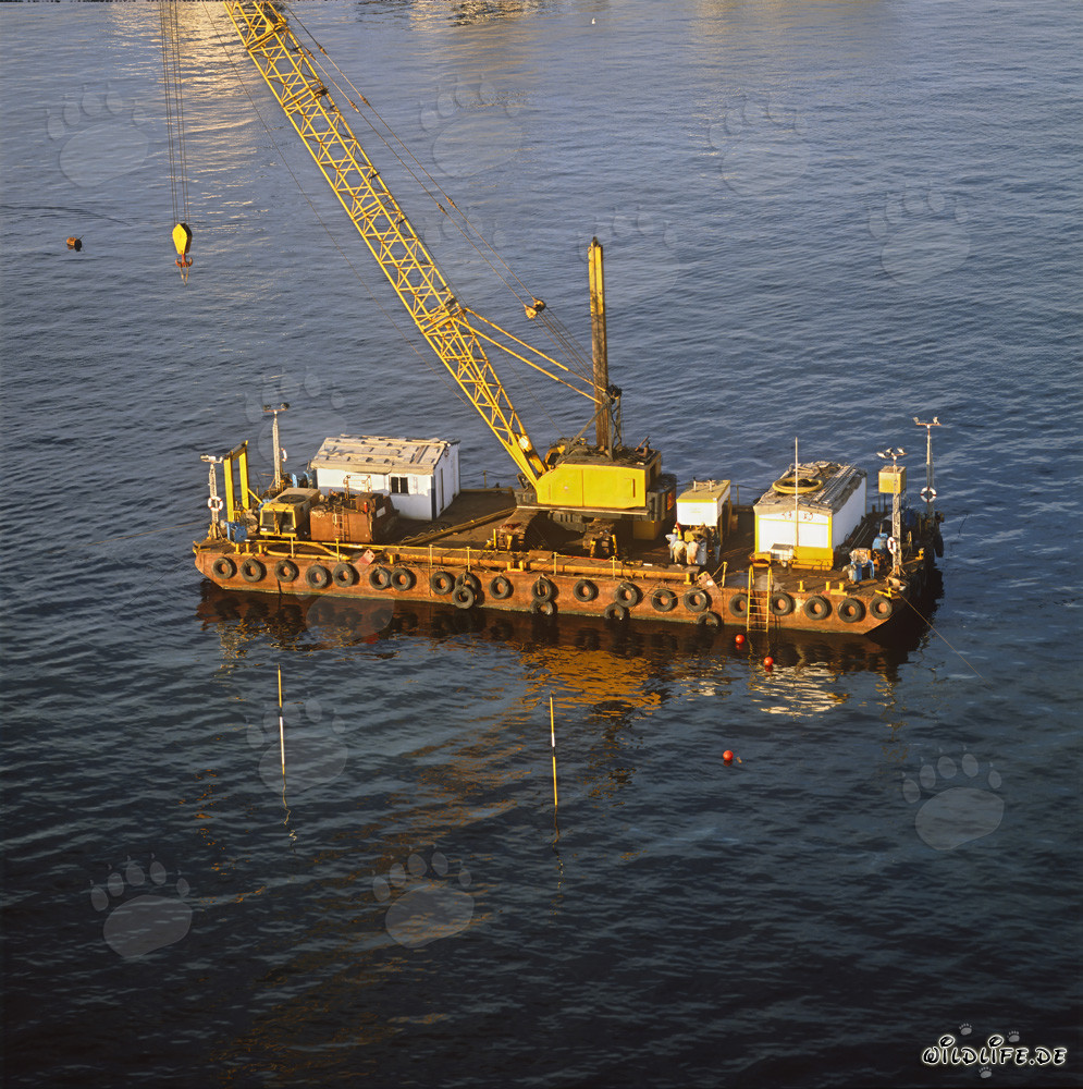 Crane Barge for Creating the Foundation Surface