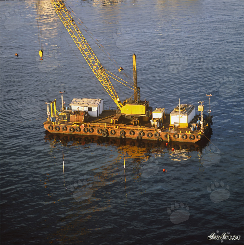 Ponton de dragage pour la création de la surface de support de bloc