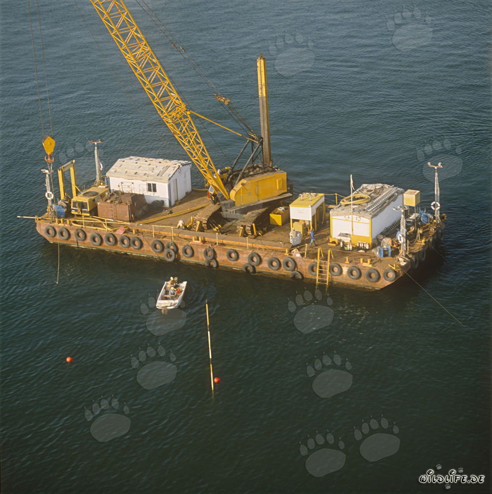 Construction de la surface de support de bloc avec une barge de dragage
