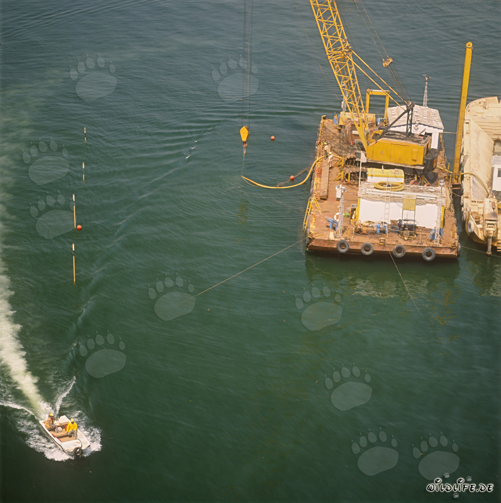 Construcción de la superficie de soporte de bloque en Ras el Tin Harbor, Alejandría, Egipto