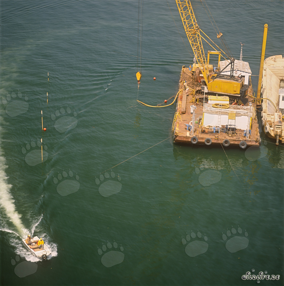 Construction de la surface de support de bloc à Ras el Tin Harbor, Alexandrie, Égypte