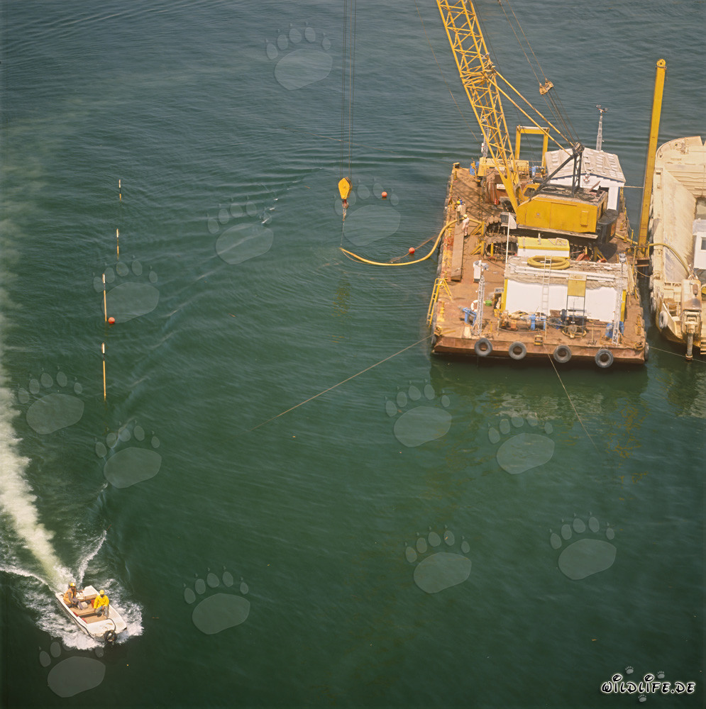 Herstellung der Blockaufstandsfläche in Ras el Tin Harbor, Alexandria, Ägypten