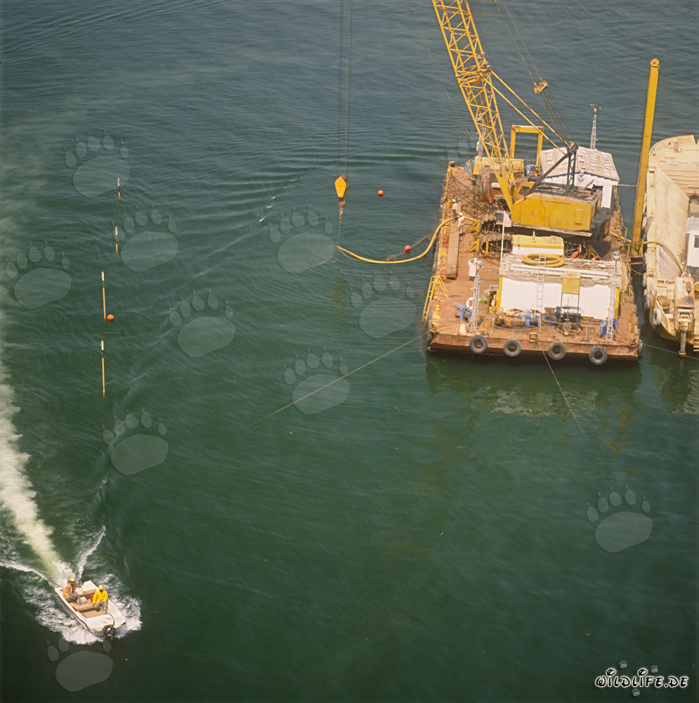 Preparation of the concrete block Foundation in Ras el Tin Harbor, Alexandria, Egypt