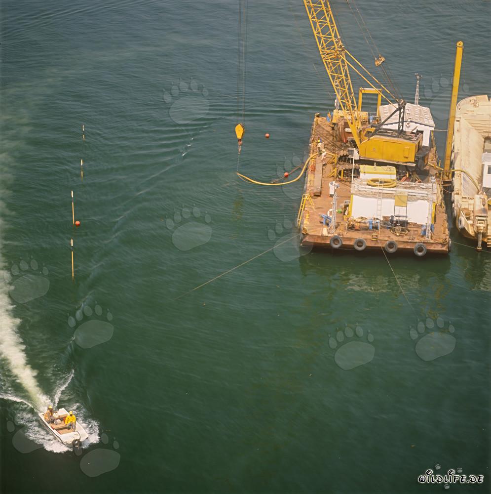 Realizzazione della superficie di supporto del blocco a Ras el Tin Harbor, Alessandria, Egitto
