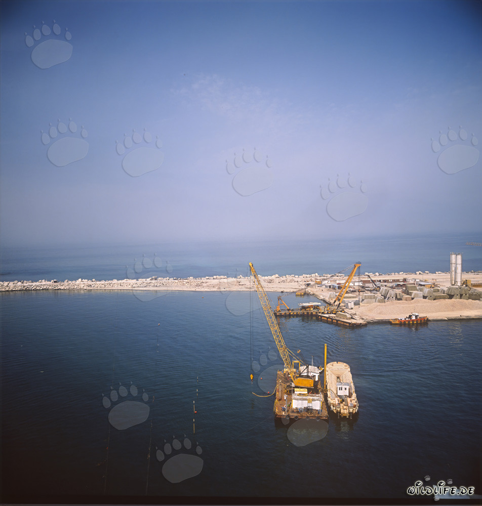 Pórtico de descarga con escotilla abatible en el puerto de Ras el Tin, Alejandría, Egipto