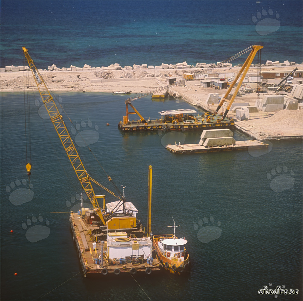 Crane barge to prepare the foundation surface