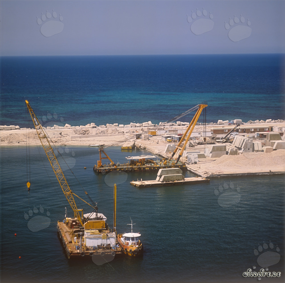 Crane barge preparing the foundation surface in Ras el Tin Harbor, Alexandria, Egypt