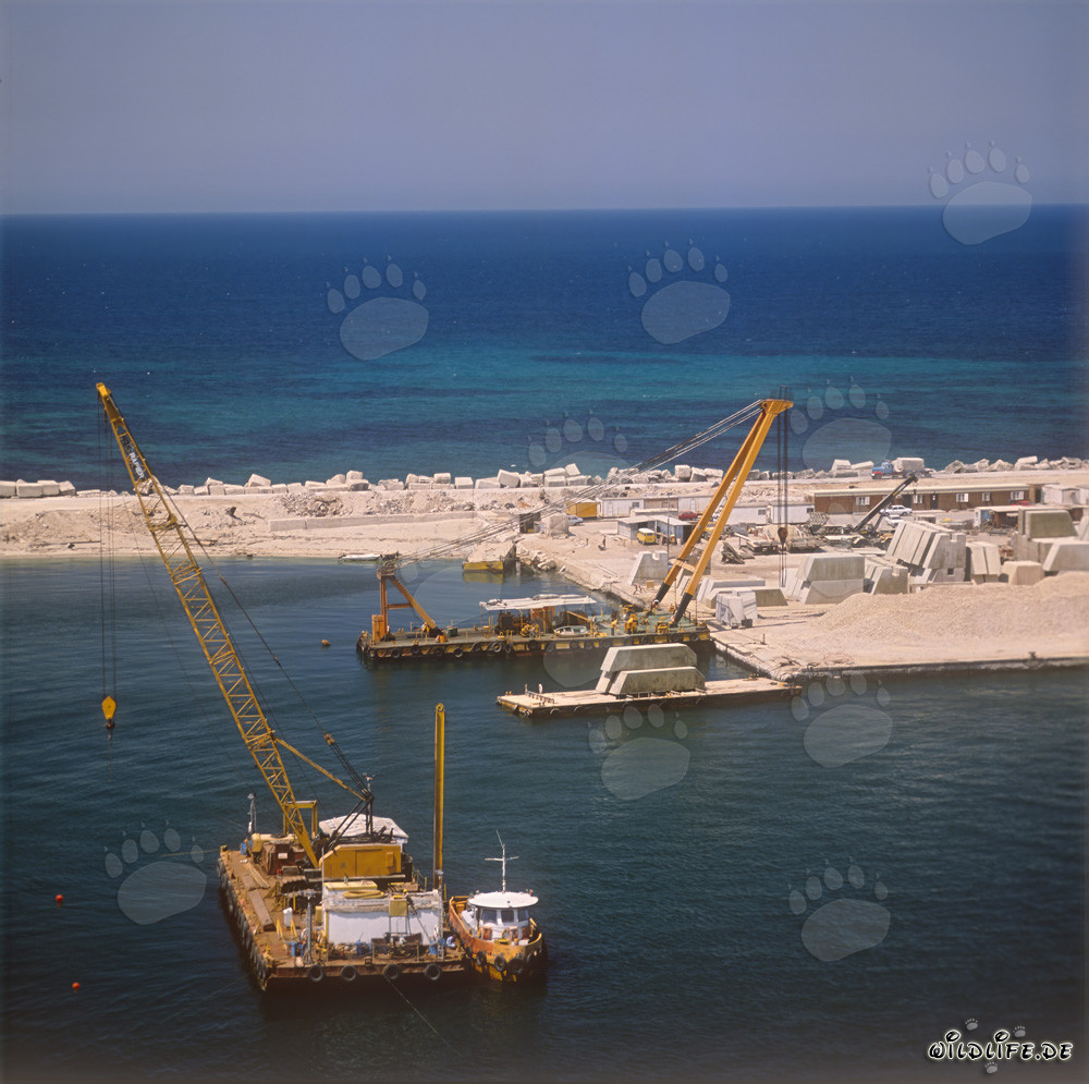 Construcción de la superficie de apoyo de bloques en el puerto de Ras el Tin, Alejandría, Egipto