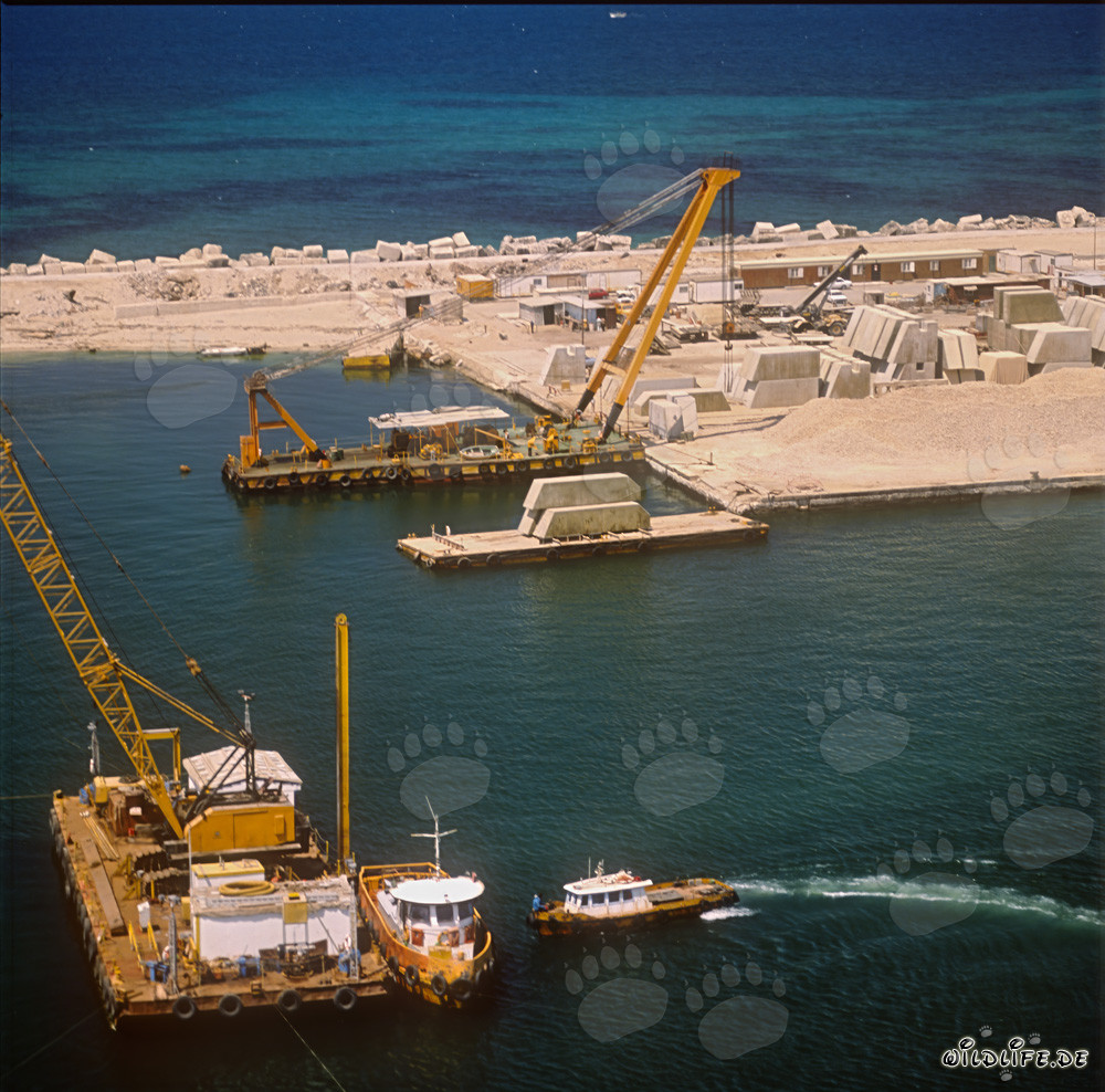 Construcción de una superficie de soporte de bloques con la barcaza de nivelación - Puerto de Ras el Tin, Alejandría, Egipto