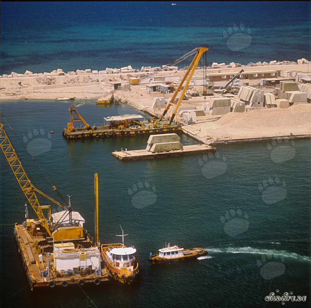 Construction d'une surface de support de blocs avec une barge de nivellement - Port de Ras el Tin, Alexandrie, Égypte