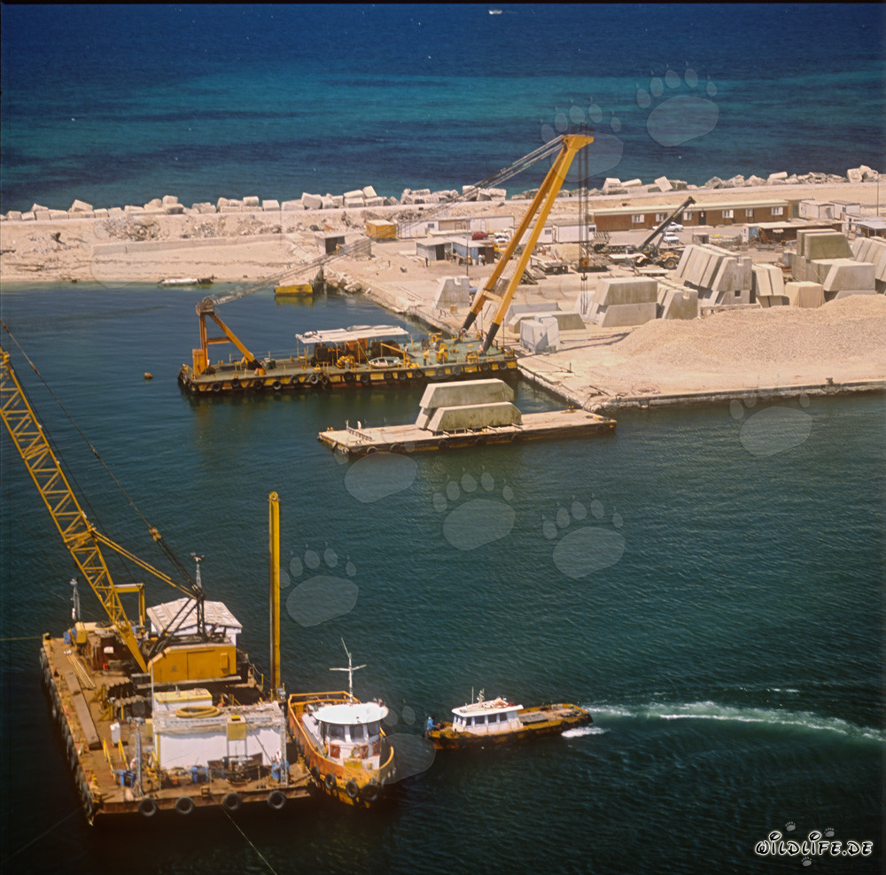 Preparing a concrete block foundation using a crane barge - Ras el Tin Harbor, Alexandria, Egypt