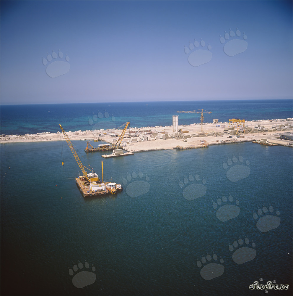 Dique de arrastre con el astillero y varillas de medición en el puerto de Ras el Tin en Alejandría Egipto