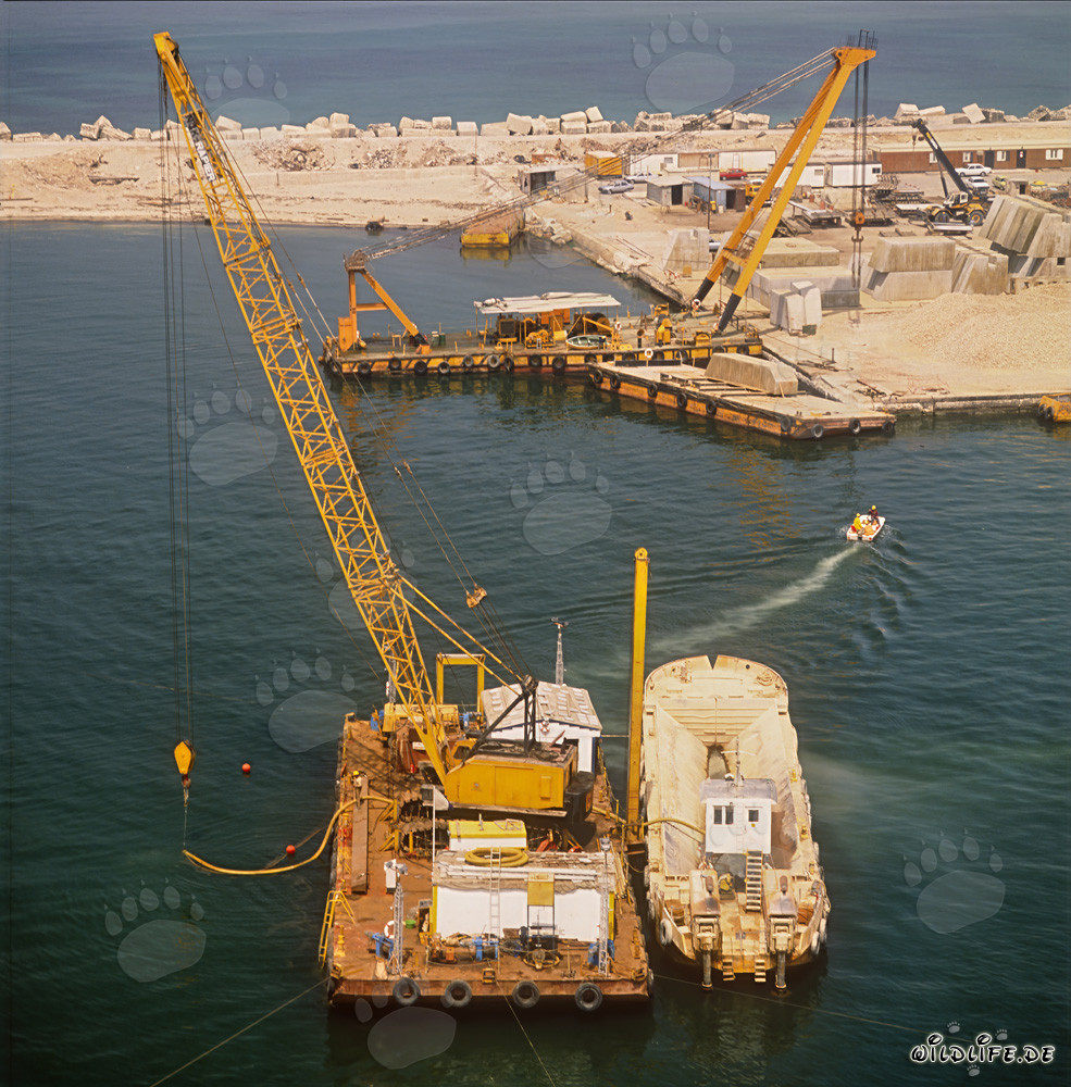 Abziehponton mit Airliftaktivitäten in Ras el Tin Hafen, Alexandria, Ägypten