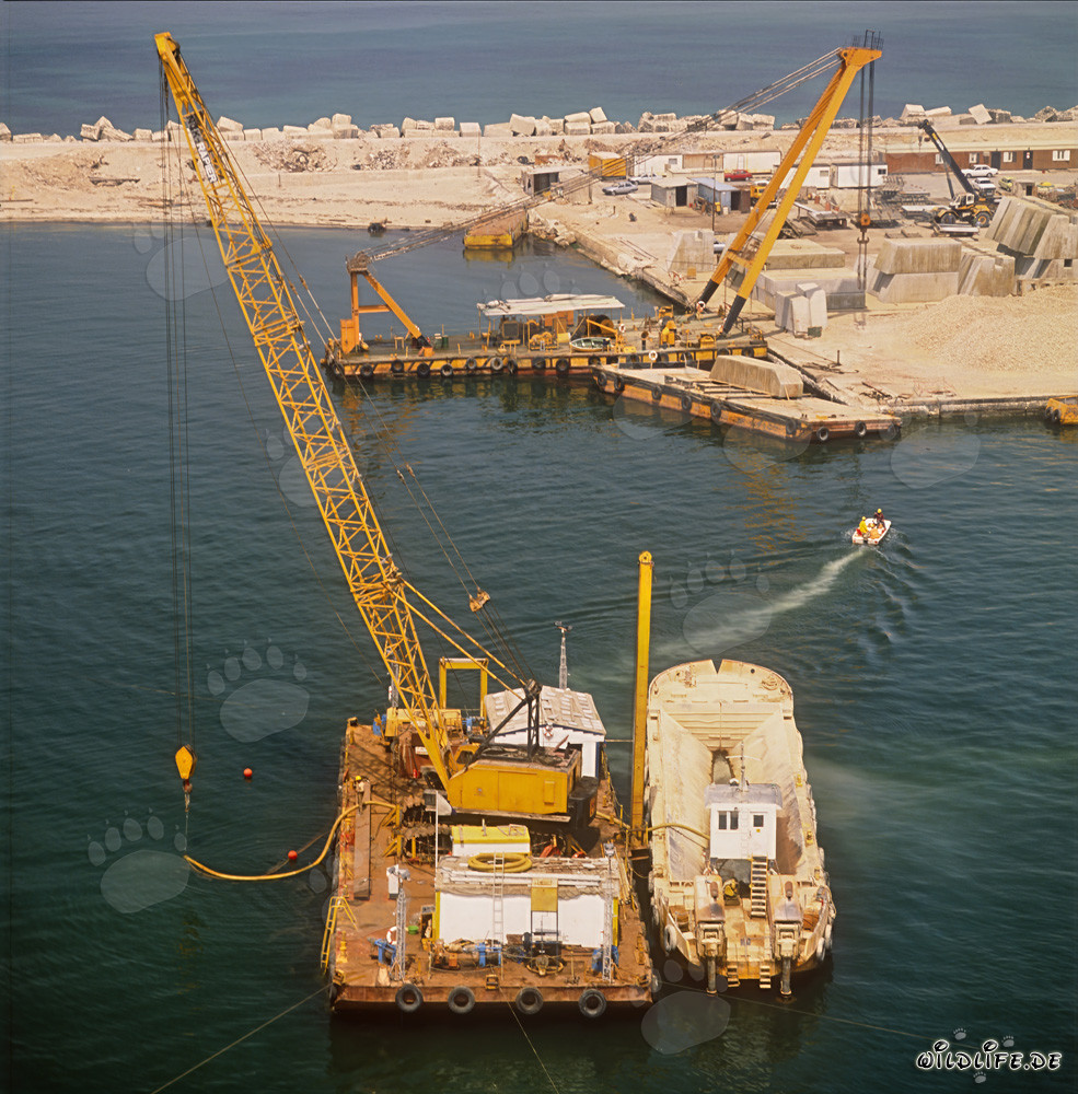 Ponton de dragage avec activités de levage par air dans le port de Ras el Tin, Alexandrie, Égypte