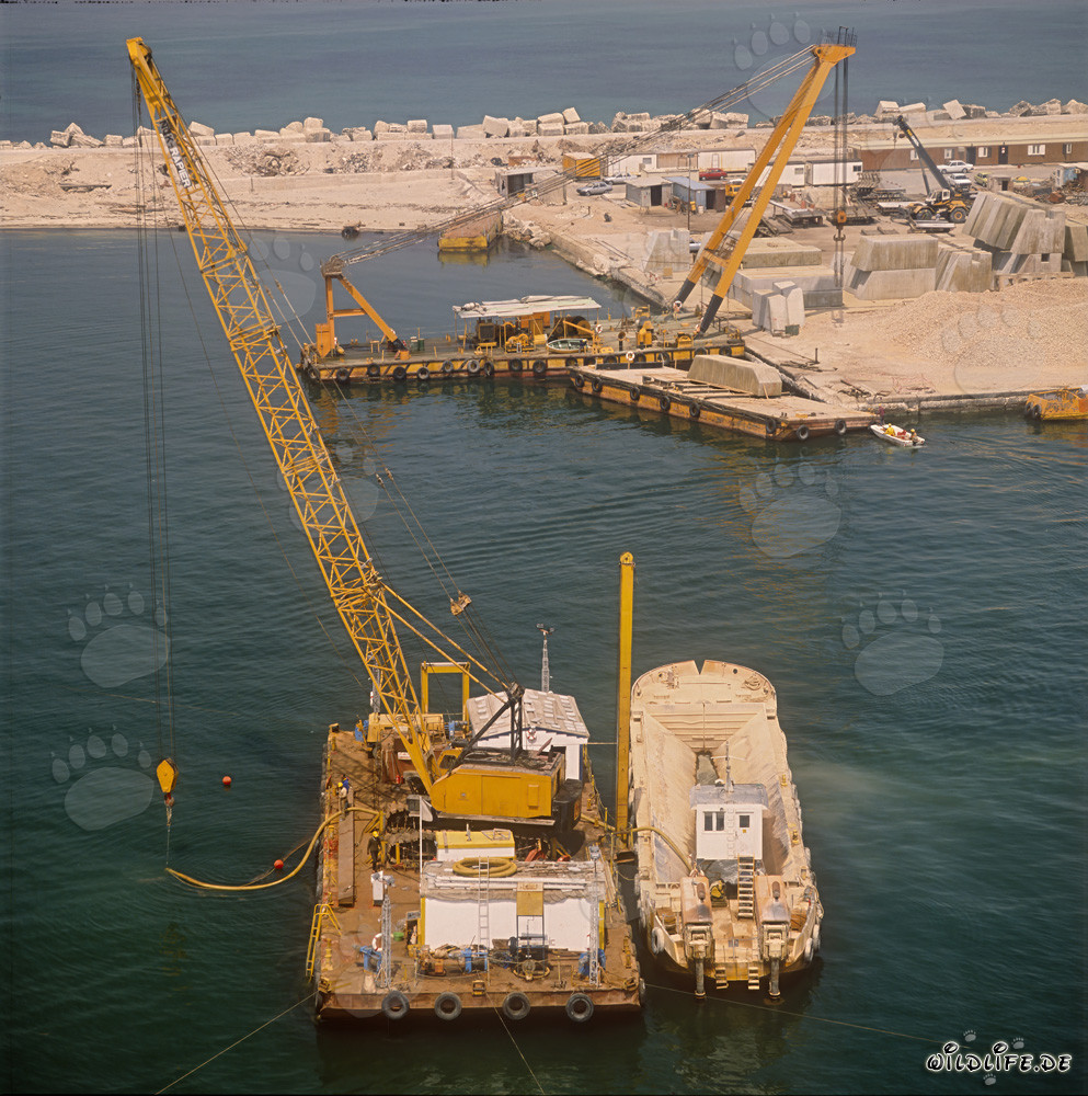 Ponton de dragage avec activités de levage par air dans le port de Ras el Tin, Alexandrie, Égypte