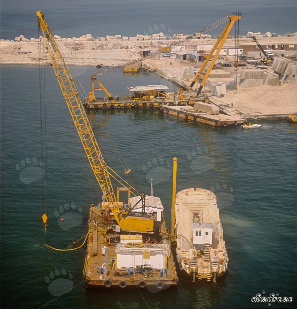 Abziehponton mit Airliftaktivitäten in Ras el Tin Hafen, Alexandria, Ägypten