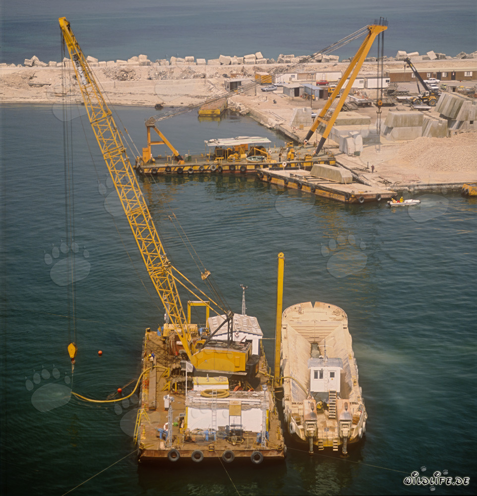 Dique de dragado con actividades de elevación por aire en el puerto de Ras el Tin, Alejandría, Egipto