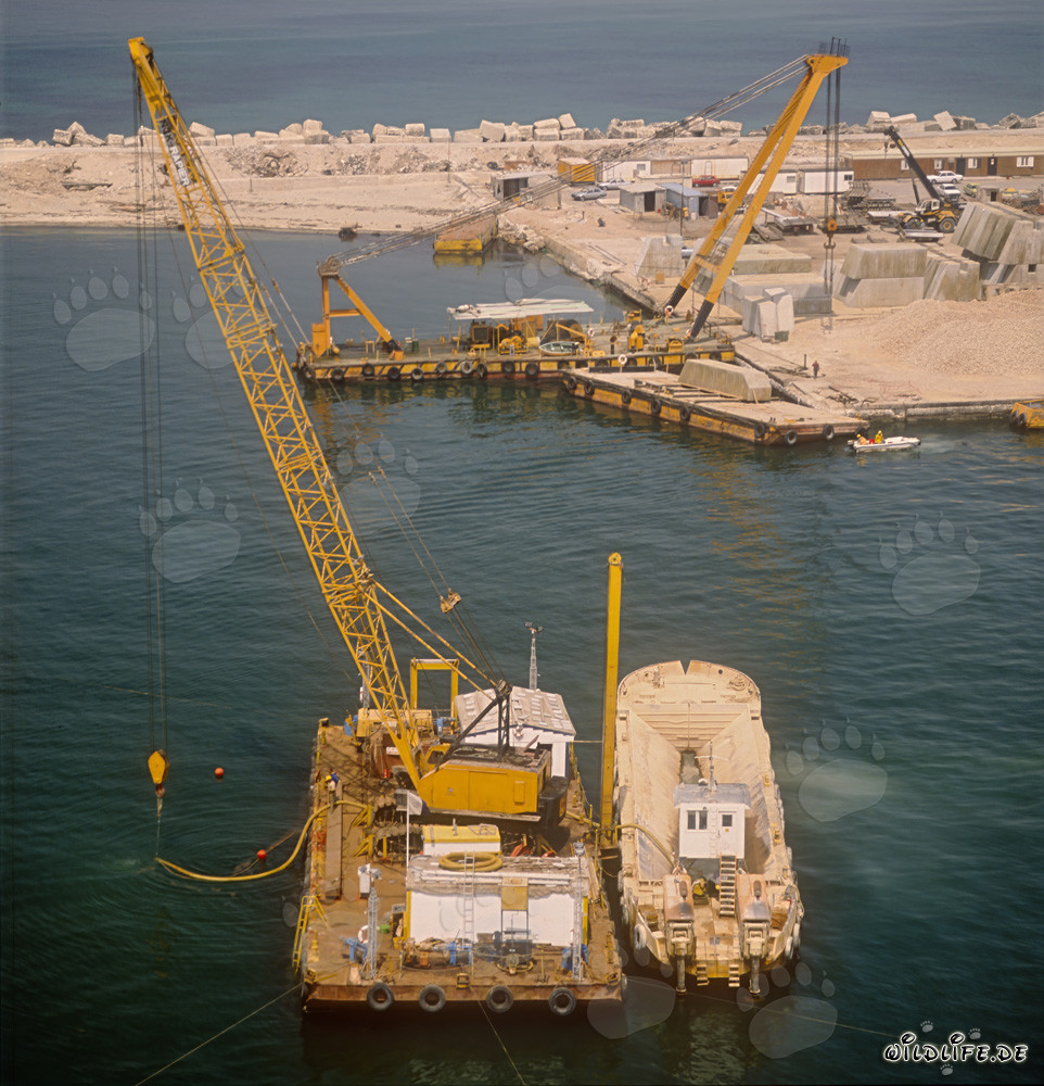 Ponton de dragage avec activités de levage par air au port de Ras el Tin, Alexandrie, Égypte