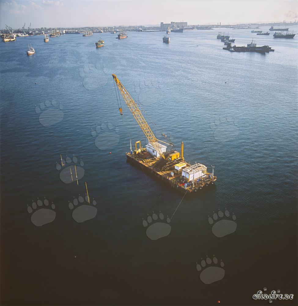 Crane barge during the construction of the quaywall at Ras el Tin Harbor, Alexandria