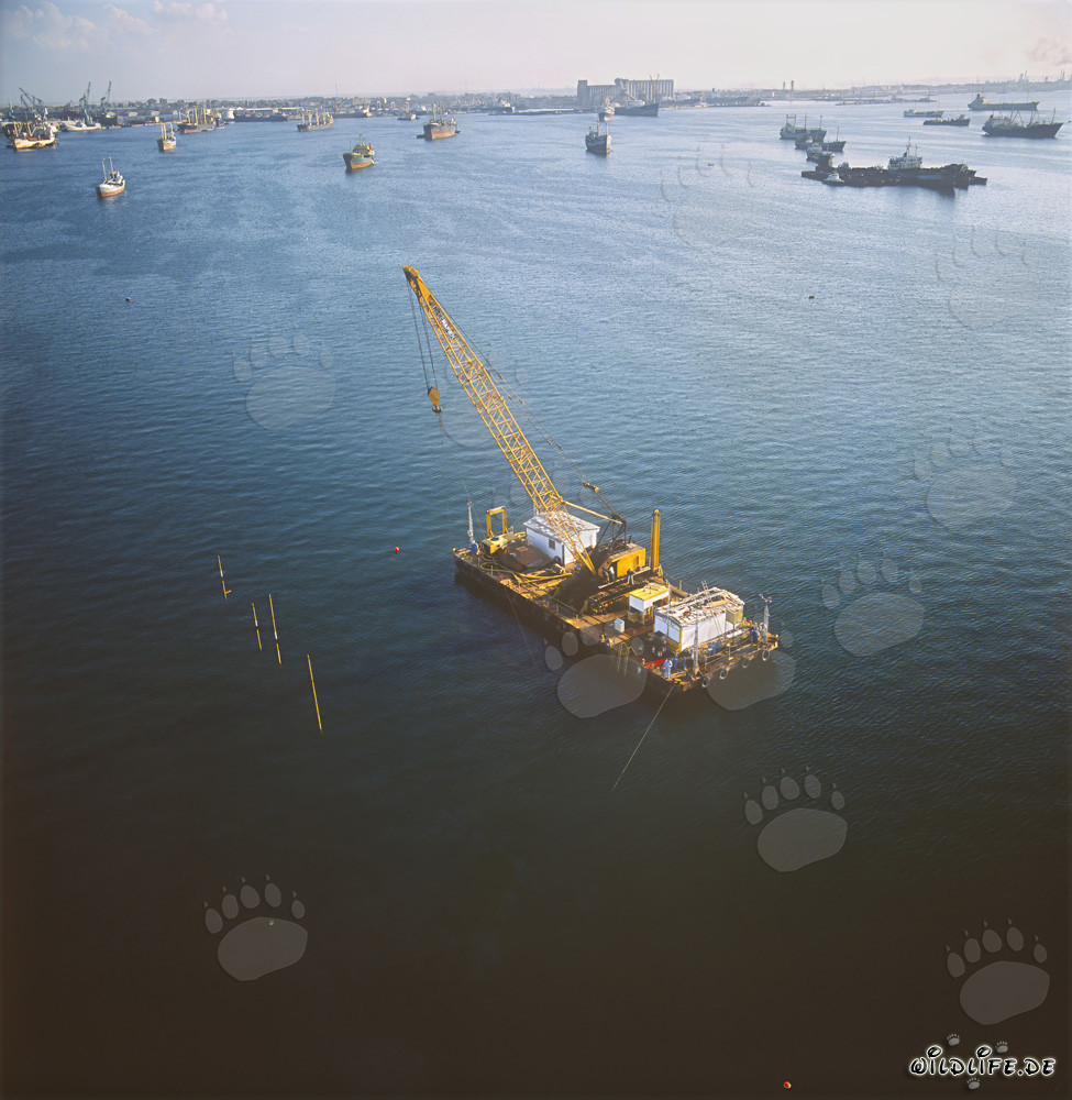 Ponte de desencofrado en la construcción del muro del muelle en el puerto de Ras el Tin, Alejandría