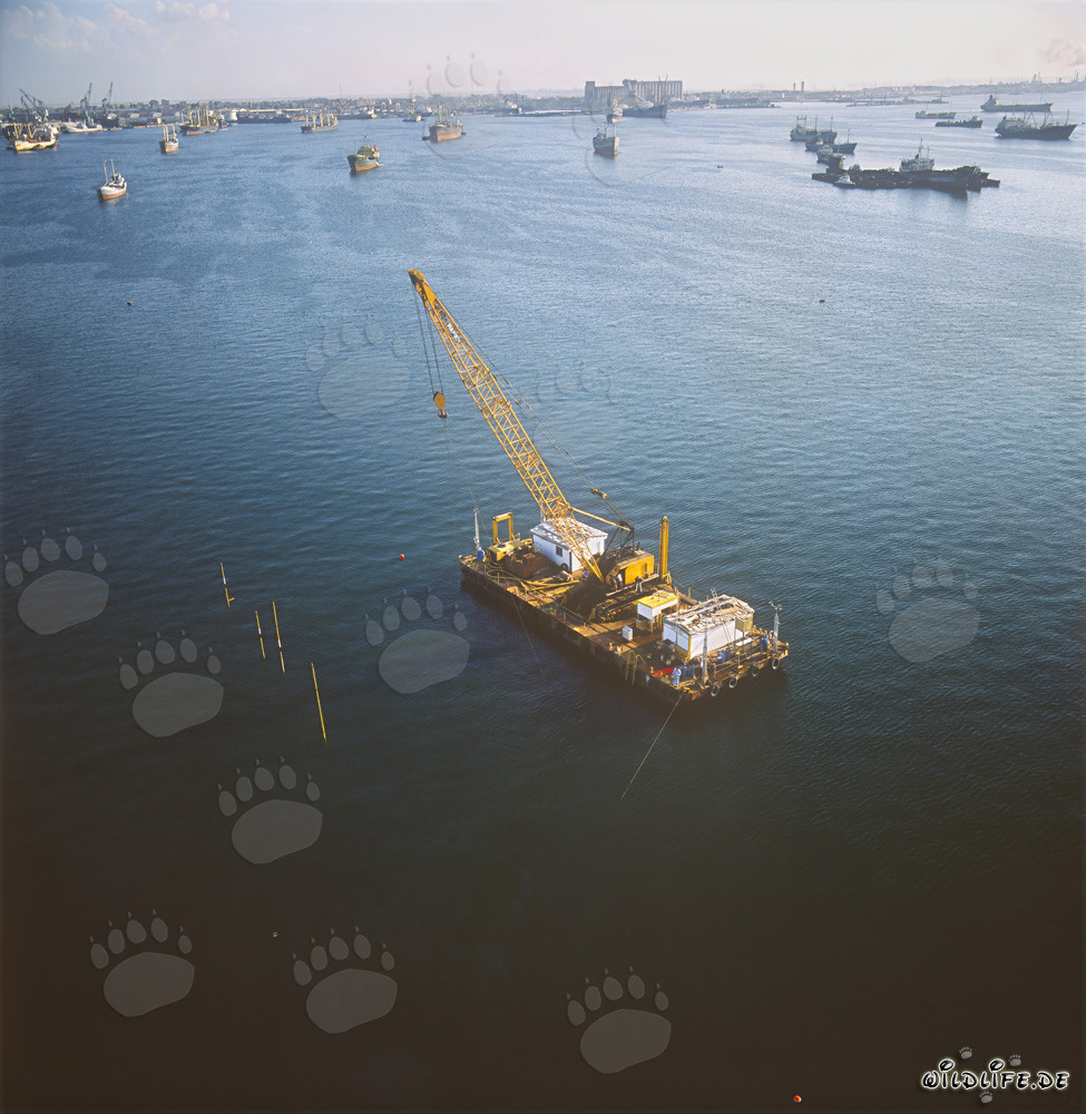 Ponton de décapage lors de la construction du mur du quai dans le port de Ras el Tin, Alexandrie