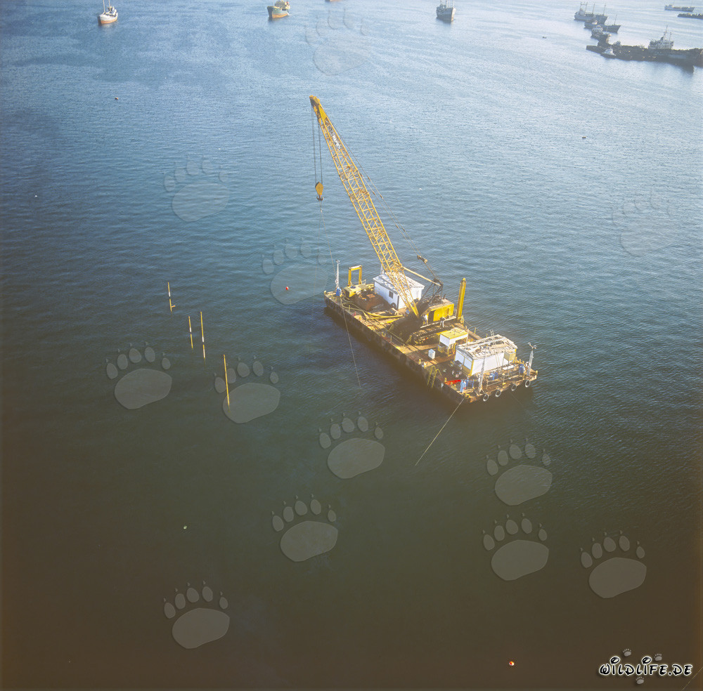 Crane Barge with Leveling Frame: Quaywall Construction in Ras el Tin Harbor, Alexandria