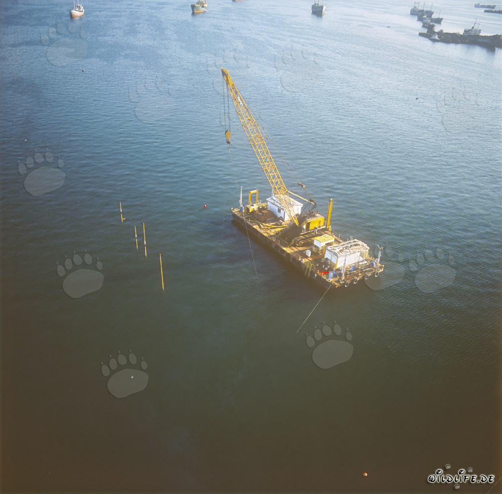 Ponton de dégagement en action : Construction du quai dans le port de Ras el Tin, Alexandrie